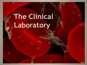 Clinical Laboratory Diagnosis: Infectious Diseases