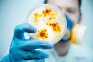 Infectious Diseases (Hybrid Course, Online and In-Person)